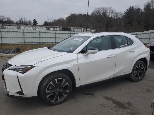 Lexus Ux 250h ba (2022)