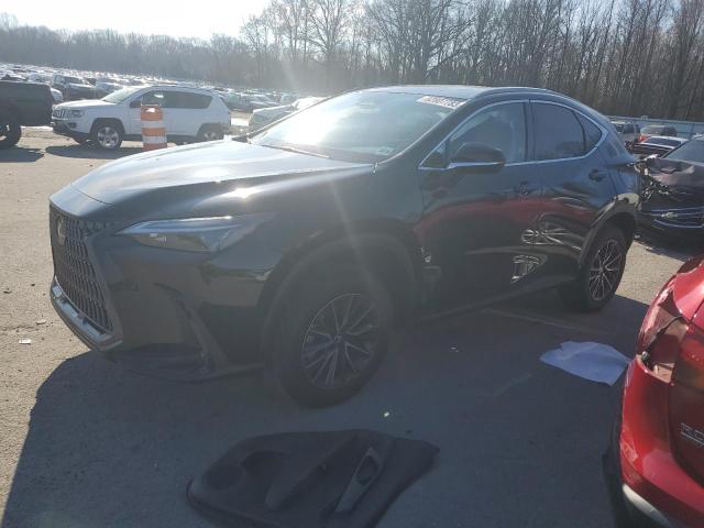 Lexus Nx 350 bas (2024)