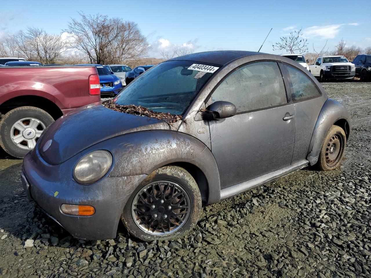 Volkswagen Beetle (2003)