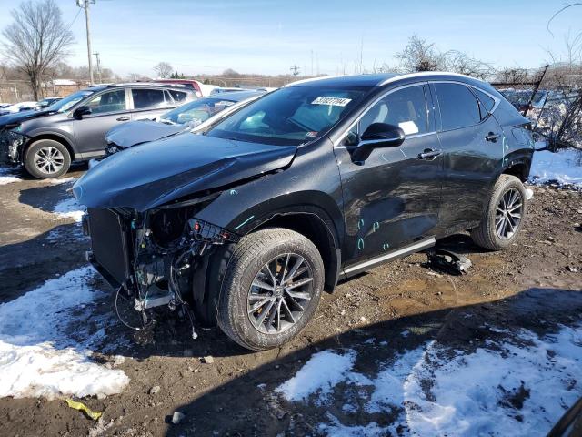 Lexus Nx 350 bas (2024)