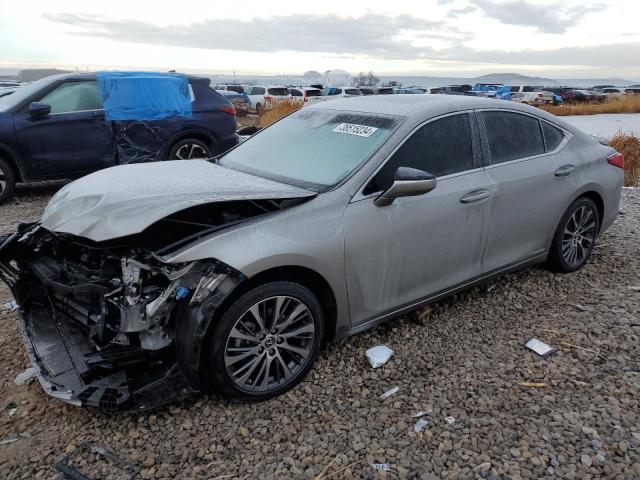 Lexus Es300 (2019)