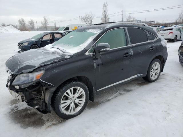 Lexus Rx450 (2011)
