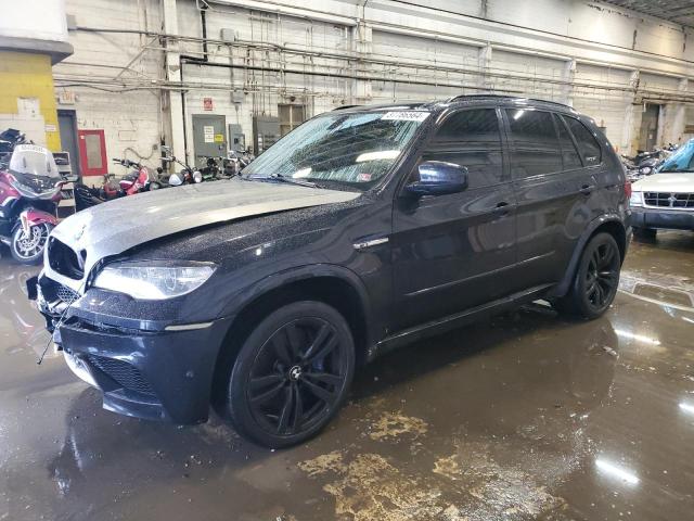 Bmw X5 (2013)