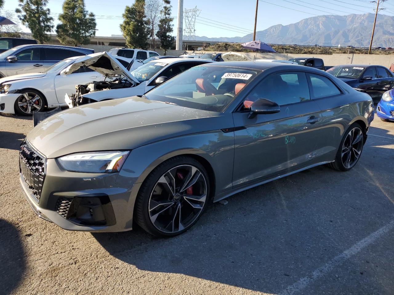 Audi Rs5 (2023)