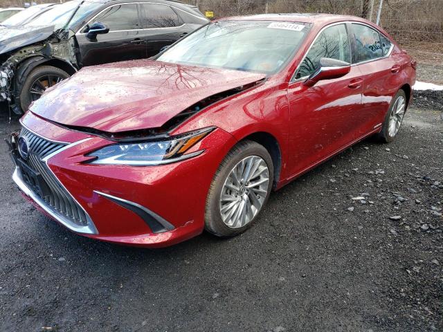 Lexus Es300 (2020)
