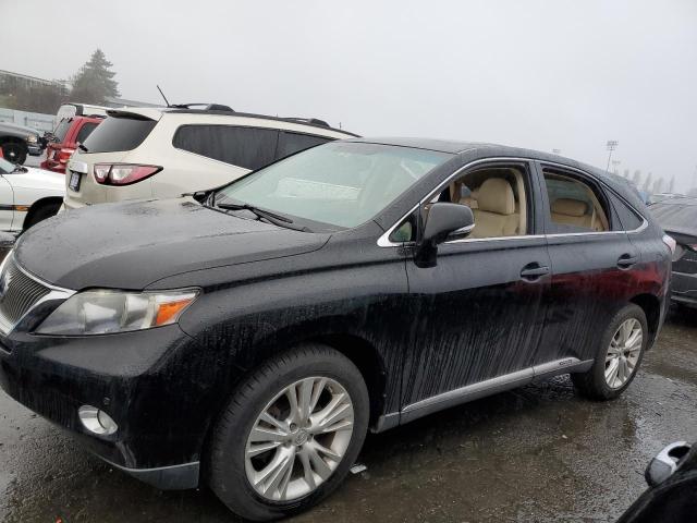 Lexus Rx450 (2010)