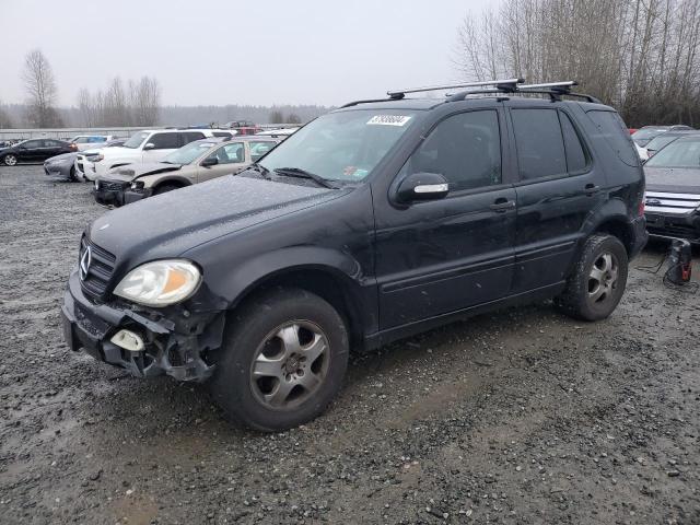 Mercedes-benz M-class (2004)