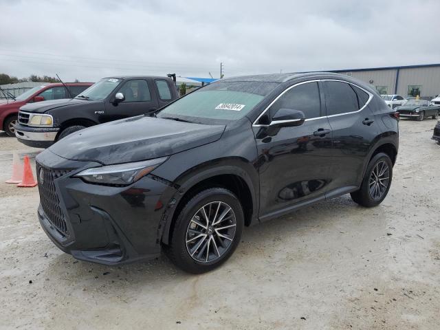 Lexus Nx 250 (2023)