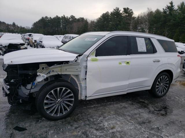 Hyundai Palisade (2024)