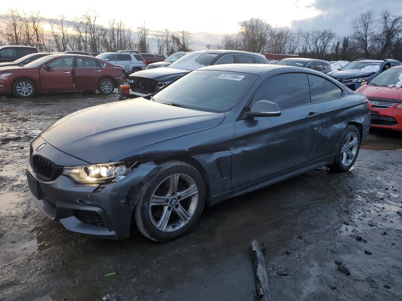 Bmw 4er (2014)