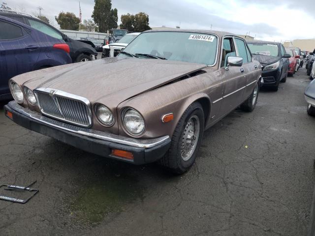 Jaguar Xj (1985)