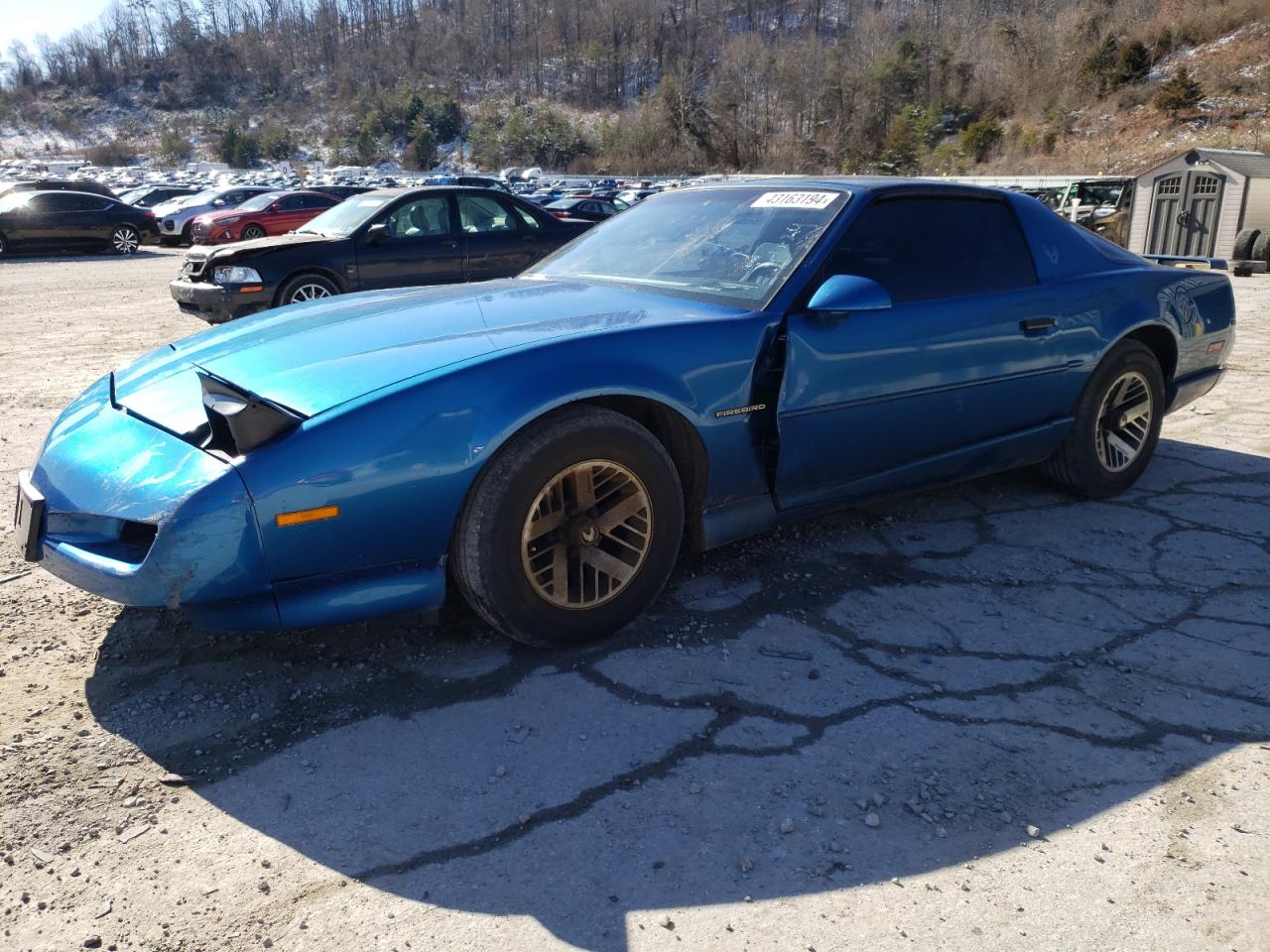 Pontiac Firebird (1992)
