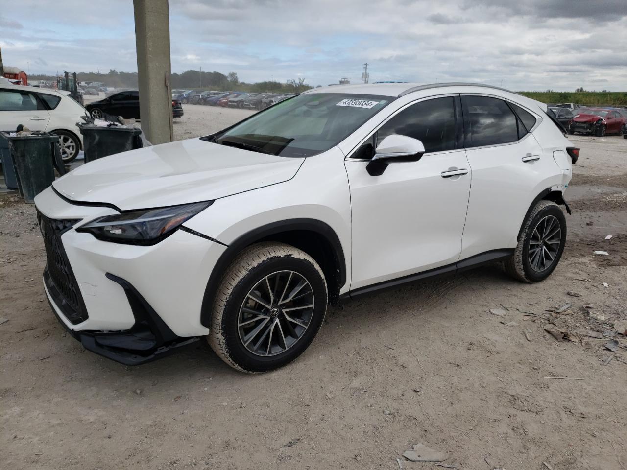 Lexus Nx-300h (2024)