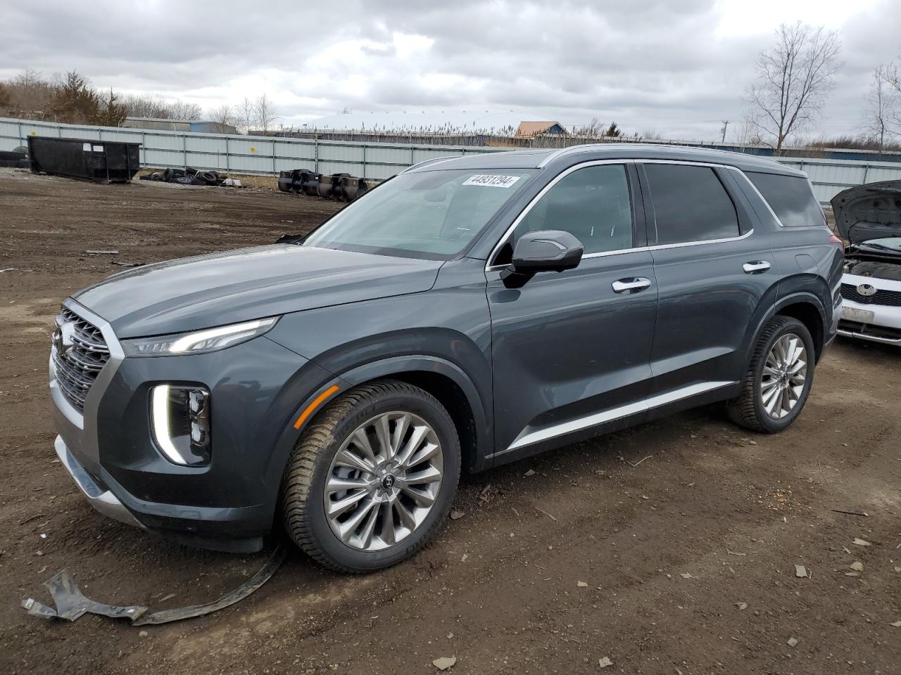 Hyundai Palisade (2020)