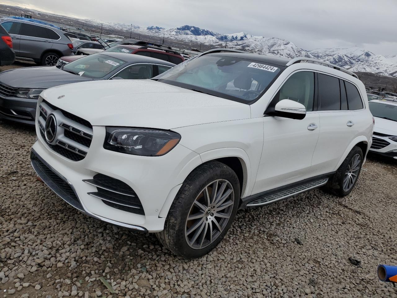 Mercedes-benz Gls-klasse (2023)