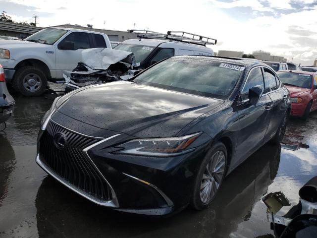 Lexus Es300 (2021)