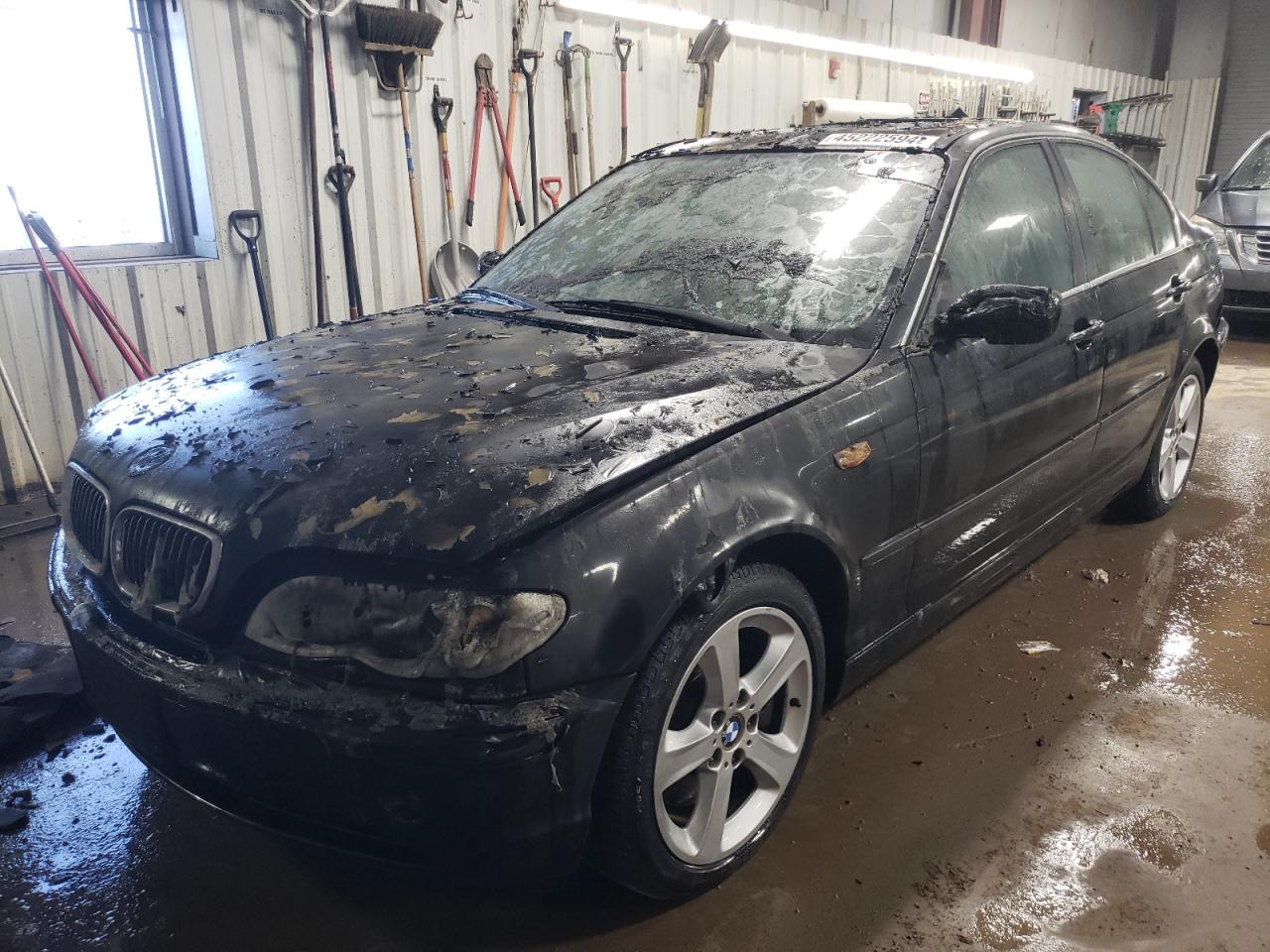 Bmw 3er (2004)
