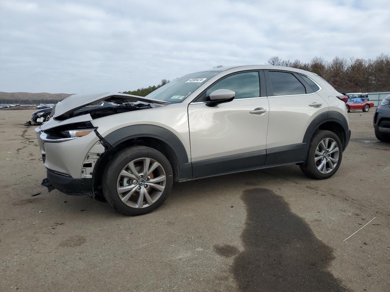 Mazda Cx-30 (2022)