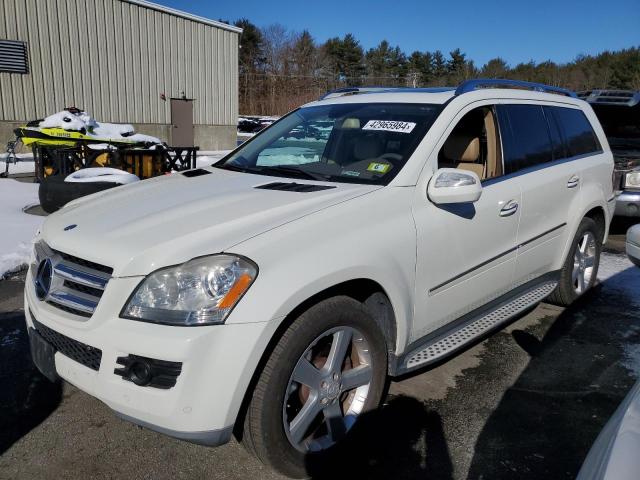 Mercedes-benz Gl-class (2009)