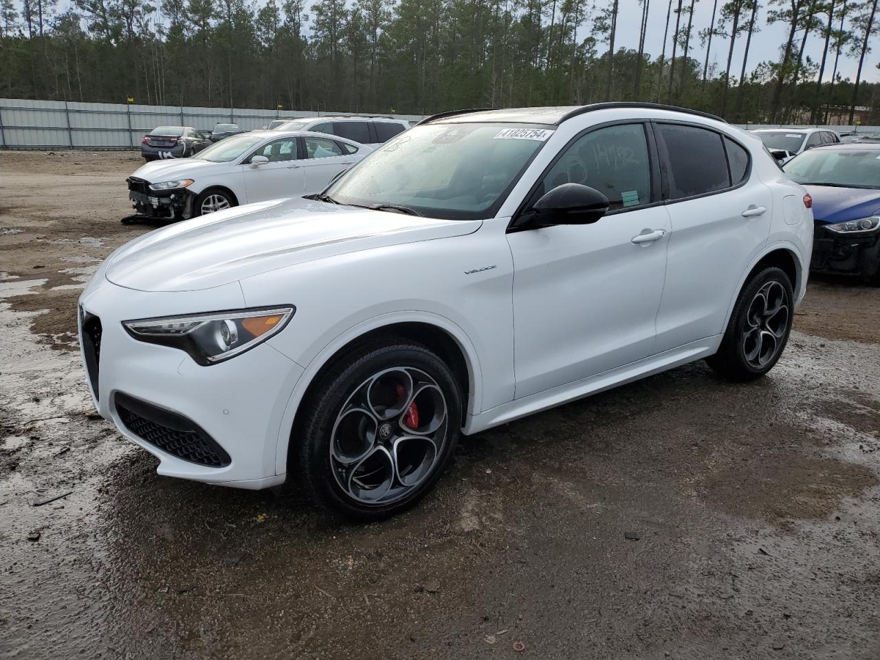 Alfa-romeo Stelvio (2022)