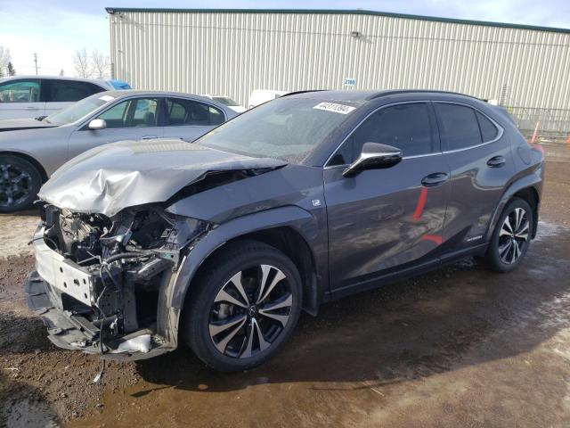 Lexus Ux 250h ba (2022)