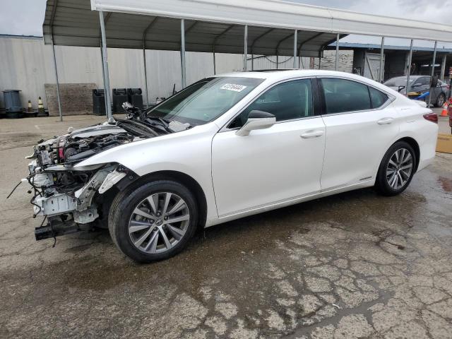 Lexus Es300 (2020)