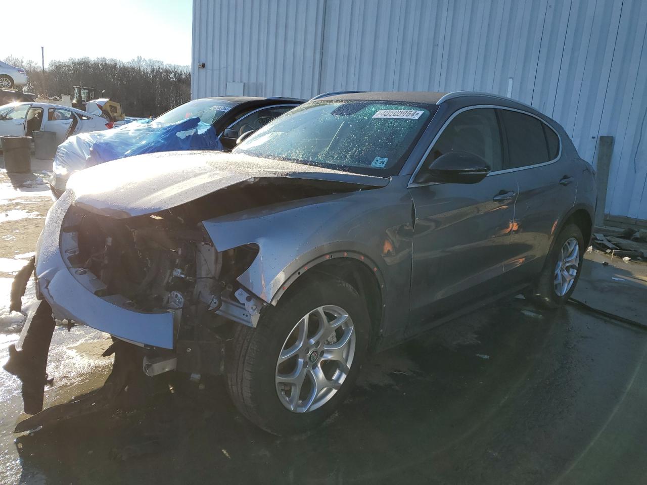 Alfa-romeo Stelvio (2019)