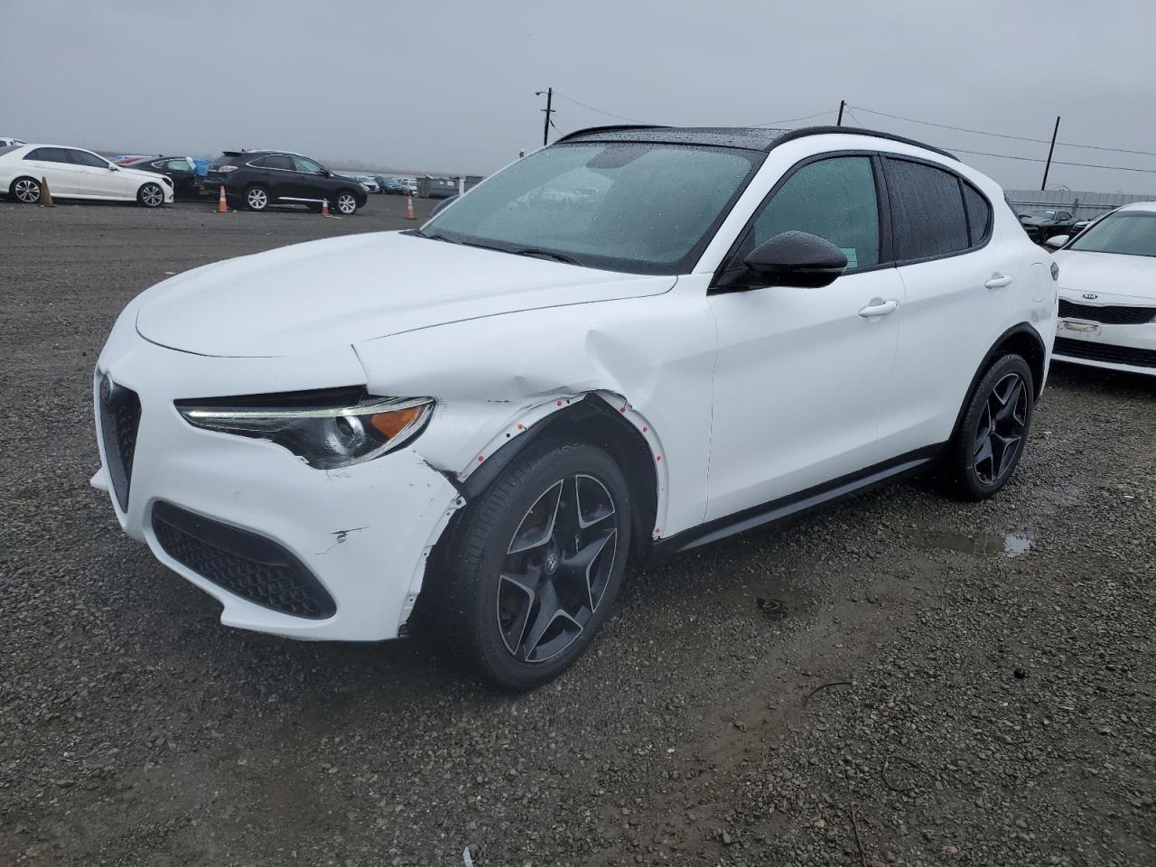 Alfa-romeo Stelvio (2019)