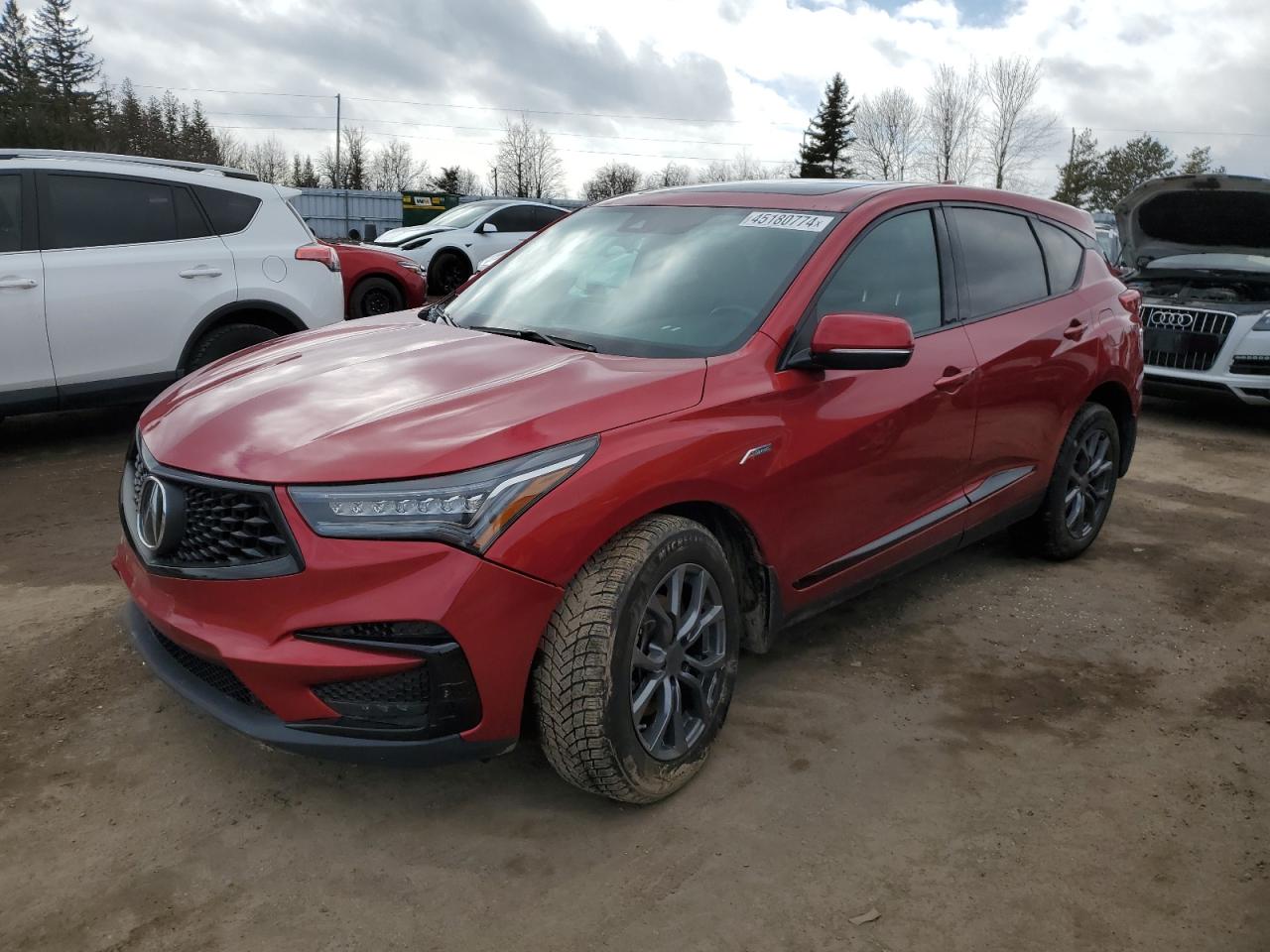 Acura Rdx (2019)