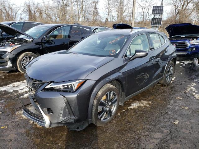Lexus Ux 250h pr (2023)