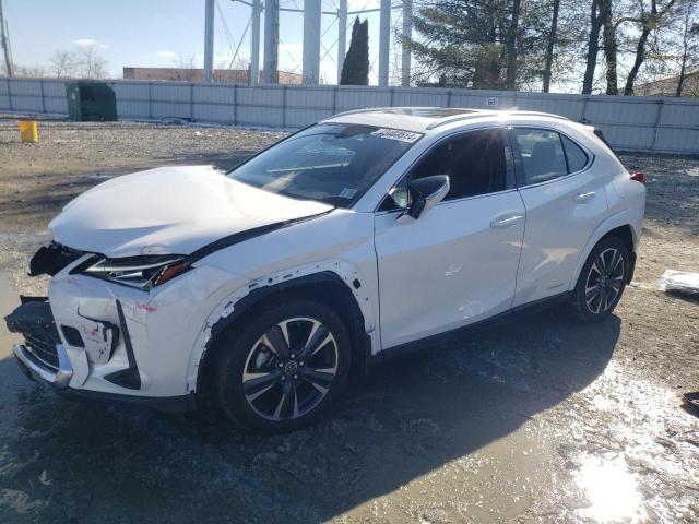 Lexus Ux 250h ba (2022)