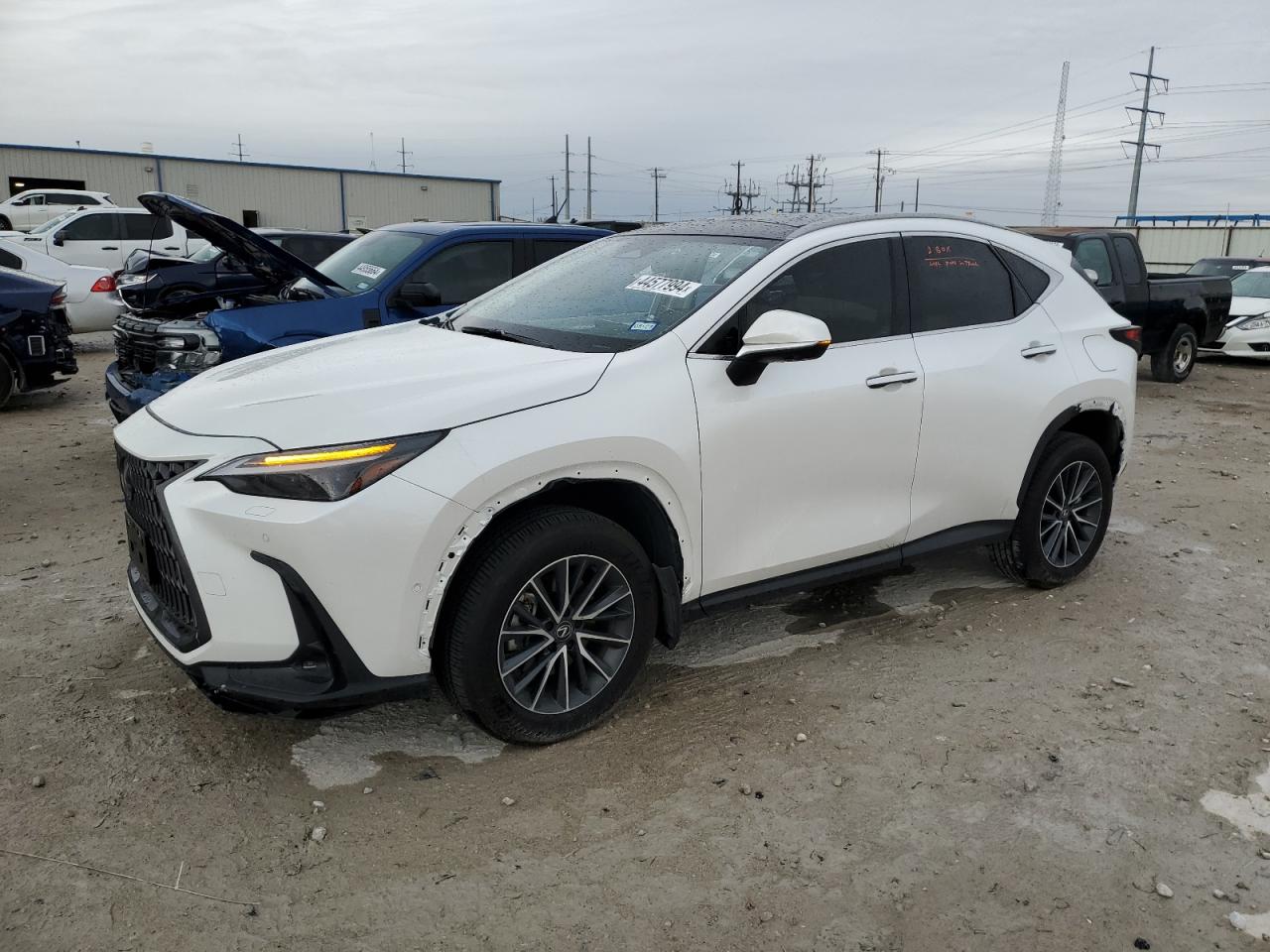 Lexus Nx-300h (2024)