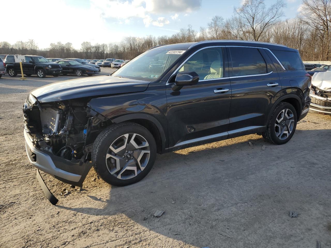 Hyundai Palisade (2024)