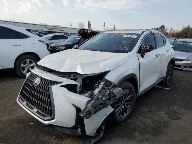 Lexus Nx 350 bas (2024)