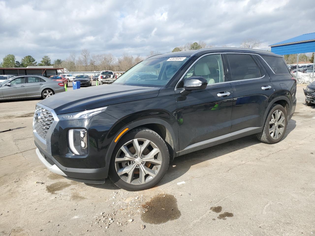 Hyundai Palisade (2020)