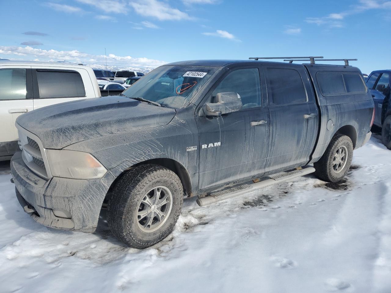Dodge Ram (2010)