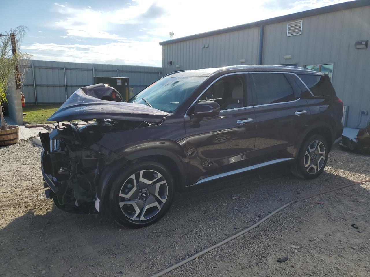 Hyundai Palisade (2024)