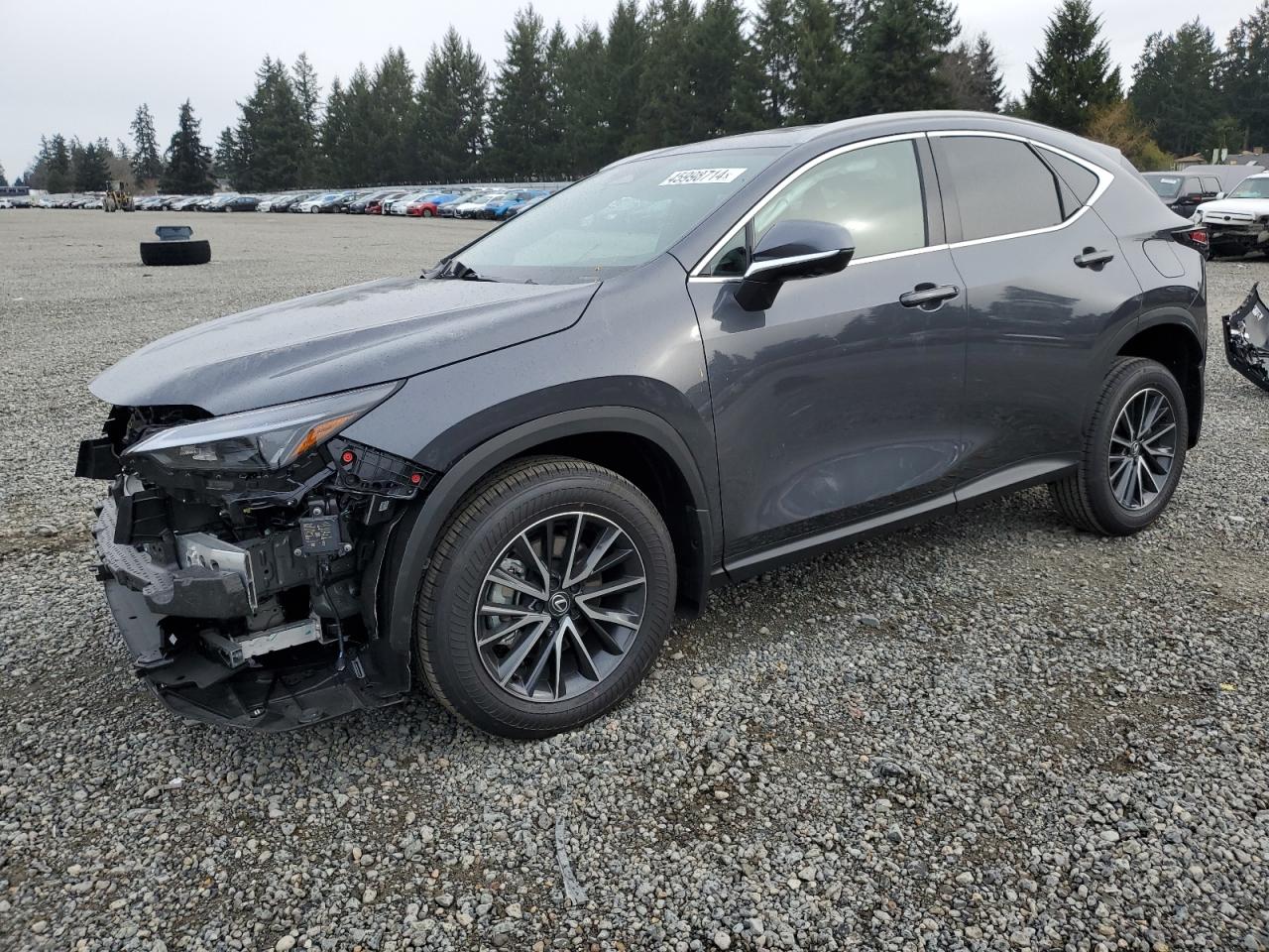 Lexus Nx-300h (2024)