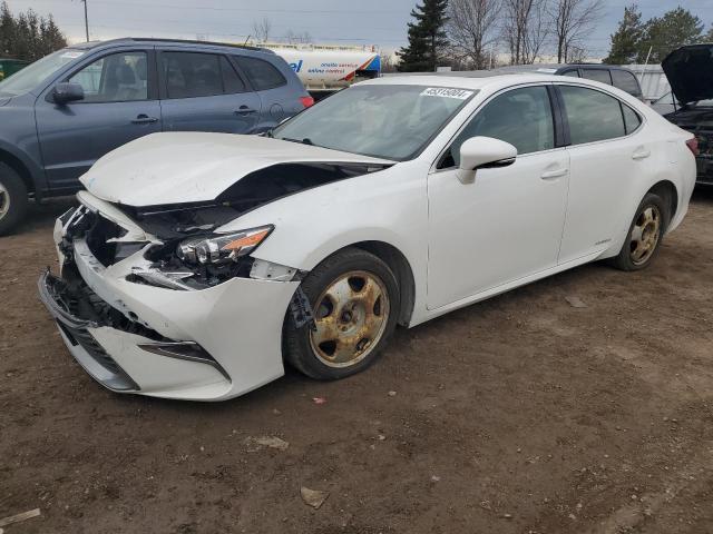 Lexus Es300 (2017)