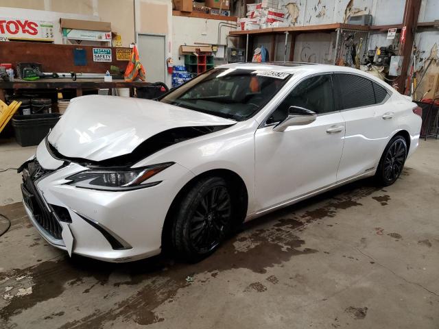 Lexus Es300 (2019)