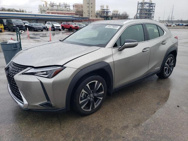 Lexus Ux 250h ba (2022)