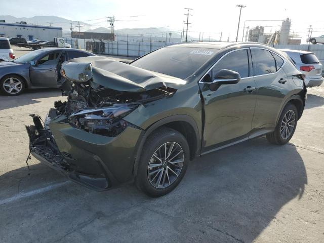 Lexus Nx 350h ba (2024)