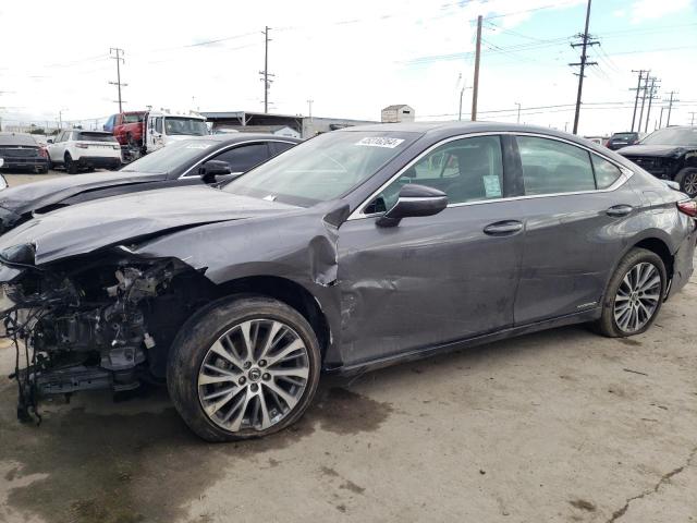 Lexus Es300 (2021)