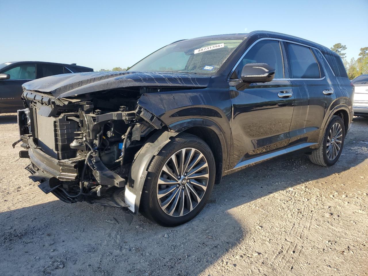 Hyundai Palisade (2024)
