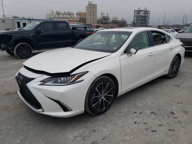 Lexus Es300 (2022)