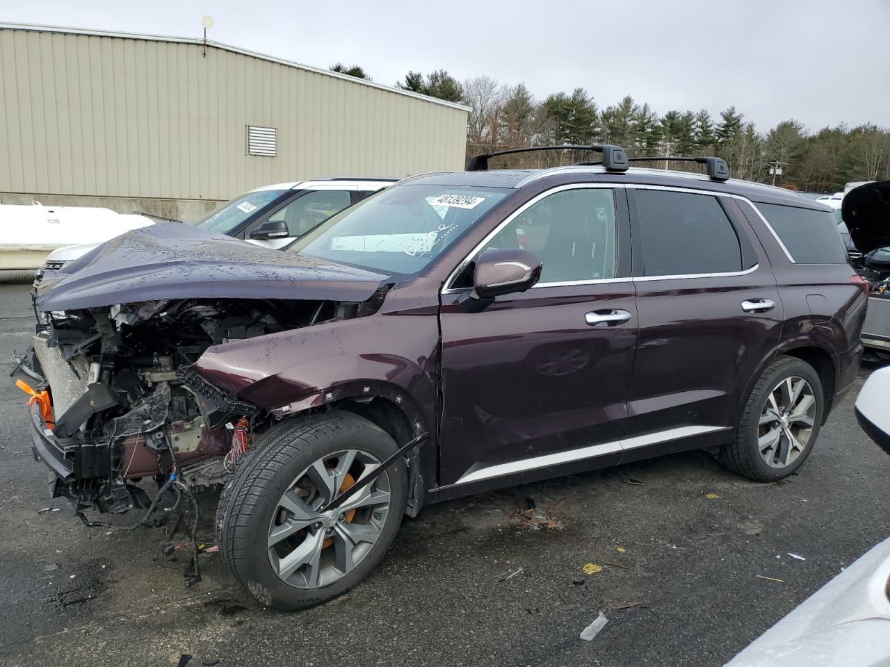 Hyundai Palisade (2021)