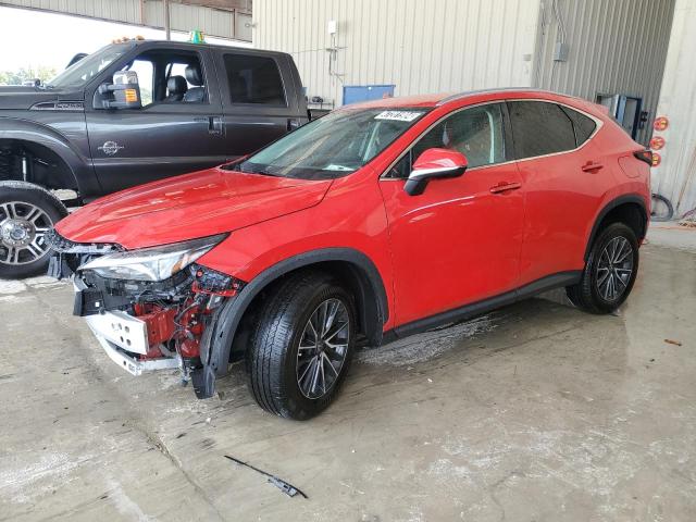 Lexus Nx 250 (2023)