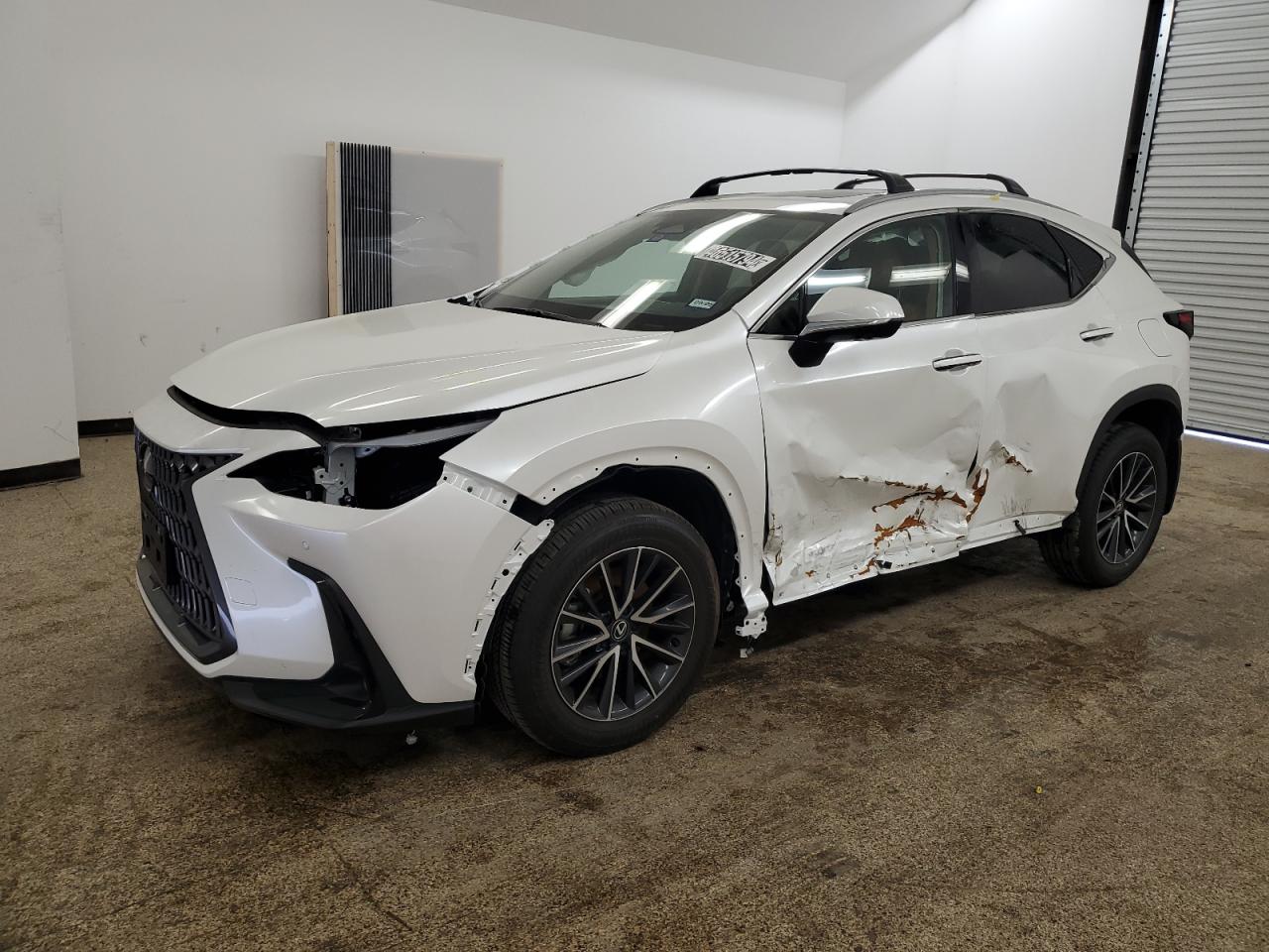 Lexus Nx-300h (2024)