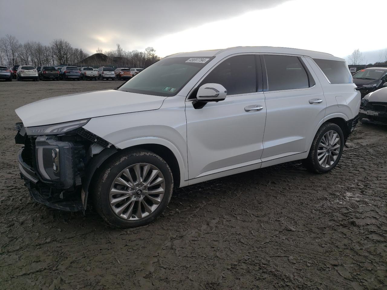 Hyundai Palisade (2020)
