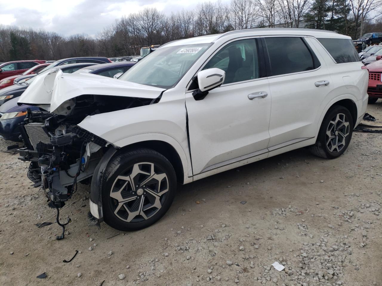 Hyundai Palisade (2022)